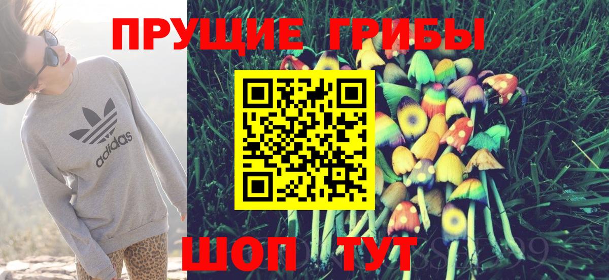 Псилоцибиновые грибы ЛСД  Вход с VPN  наркотики  Партизанск  Галлюциногенные грибы GOLDEN TEACHER 