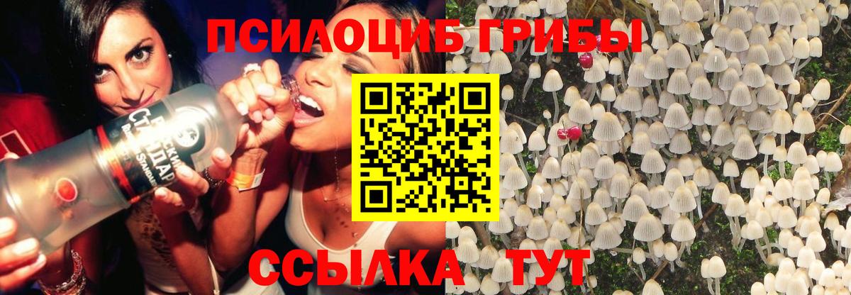 Галлюциногенные грибы GOLDEN TEACHER Партизанск
